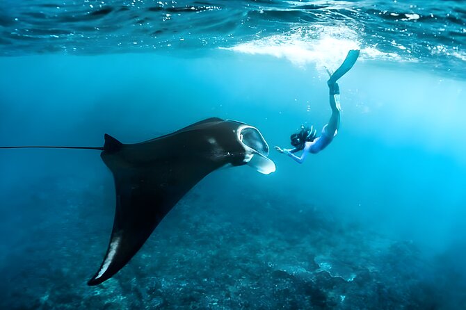 Nusa Penida Island Beach Tour With Snorkeling - Departure From Bali Island - The day in six practical points