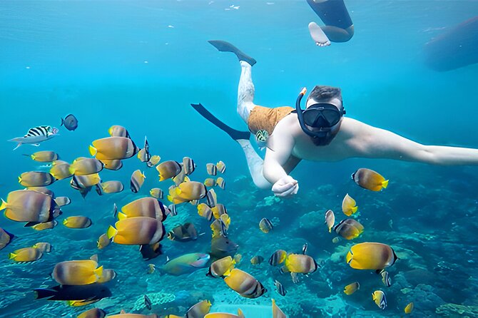 Nusa Penida Island Beach Tour With Snorkeling - Departure From Bali Island - Manta Bay: an exciting possibility, not a guarantee