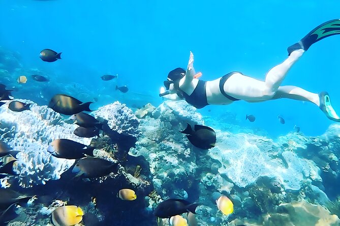 Nusa Penida Island Beach Tour With Snorkeling - Departure From Bali Island - The early start and speedboat crossing