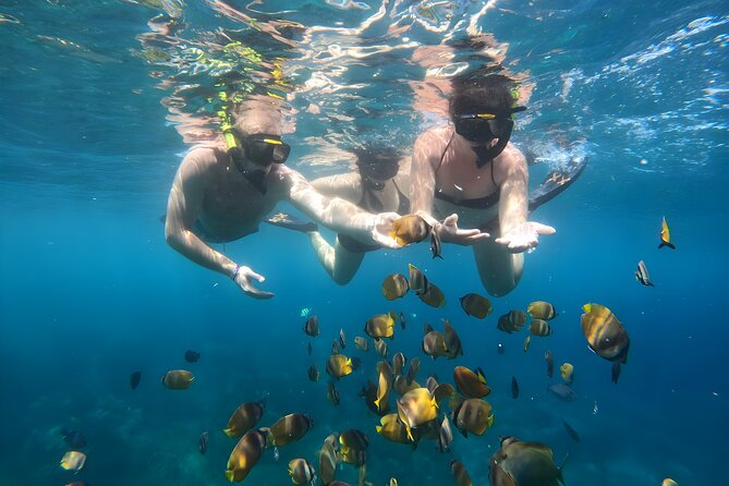 Nusa Penida Island Beach Tours with Snorkeling From Bali - Why this Nusa Penida day trip appeals