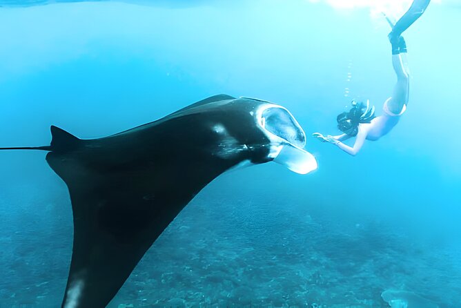 Nusa Penida Island Beach Tours with Snorkeling From Bali - Gamat Bay: quiet water when conditions cooperate