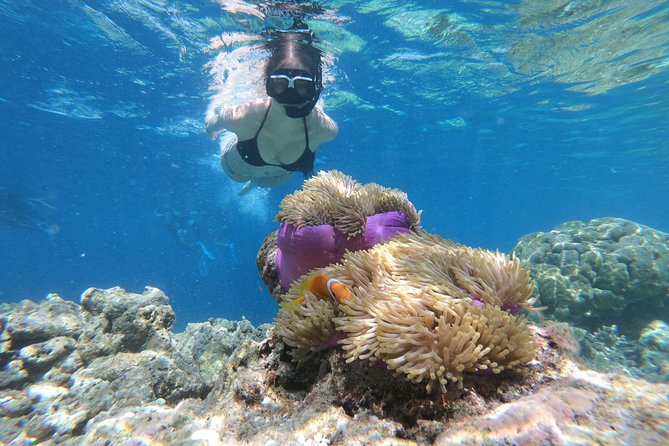 Nusa Penida Island Tour Package With Snorkeling - Key points before you book