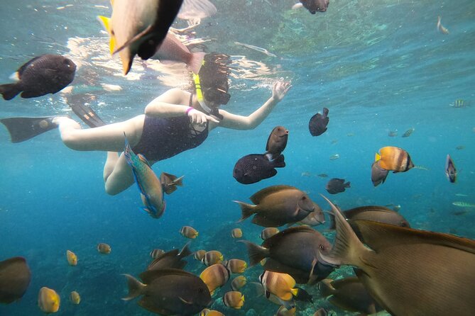 Nusa Penida Land Tour and 4 Points Snorkeling with Manta - The return to Bali around 6:00 pm