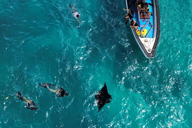 Nusa Penida Private Snorkeling and West Tour Start from Bali - Key things to know before you book