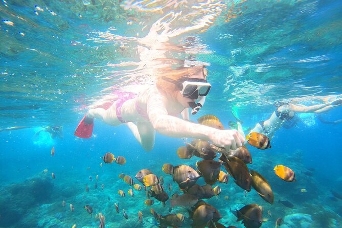 Nusa Penida Private Snorkeling and West Tour Start from Bali - Why this Nusa Penida day trip works
