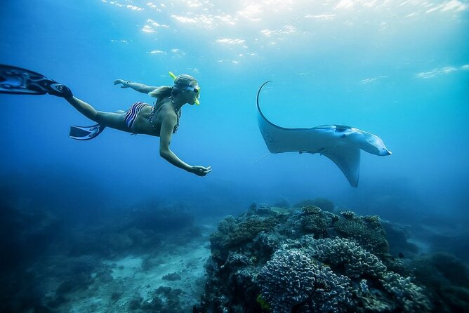 Nusa Penida Private Snorkeling and West Tour Start from Bali - Two hours at Manta Bay, Gamat Bay, and Crystal Bay