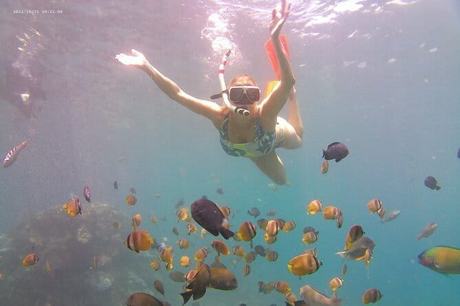 Nusa Penida Private Snorkeling Tour with West Island Trip - A full day from Sanur to Nusa Penida