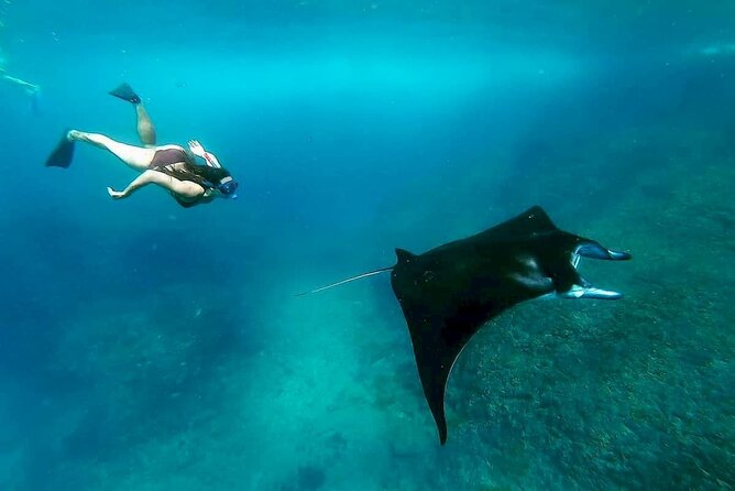 Nusa Penida Snorkeling 3 Point with Manta Bay & Land Tour - The early start from Ubud