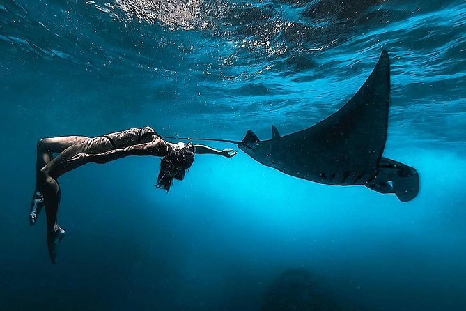Nusa Penida Snorkeling Adventure (Private & All-Inclusive) - Sanur to Nusa Penida by Speedboat
