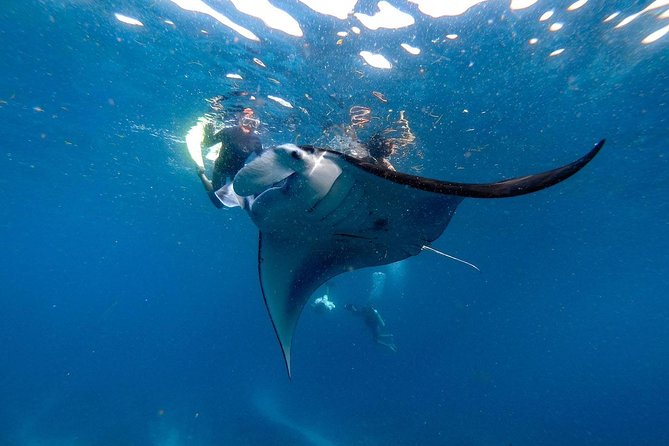 Nusa Penida Snorkeling Adventure (Private & All-Inclusive) - Crystal Bay and the Ride Back