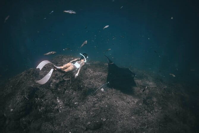 Nusa Penida : Snorkeling Trip Manta Point, Gamat Bay and Wall Bay - What the $27.49 price really covers