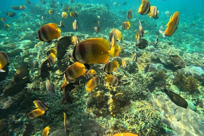 Nusa Penida : Snorkeling Trip Manta Point, Gamat Bay and Wall Bay - Equipment, photos, and the practical extras