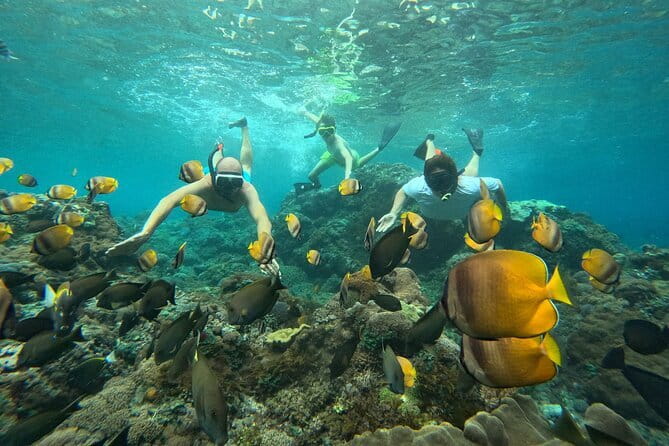Nusa Penida : Snorkeling Trip Manta Point, Gamat Bay and Wall Bay - Starting at Toya Pakeh at 8:00 am