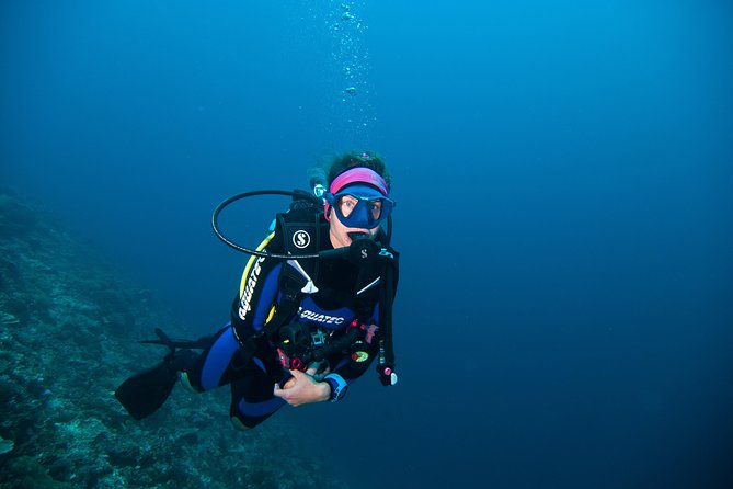 Nusa Penida Three Dives Trip for Certified Divers - Three underwater sessions with a real break