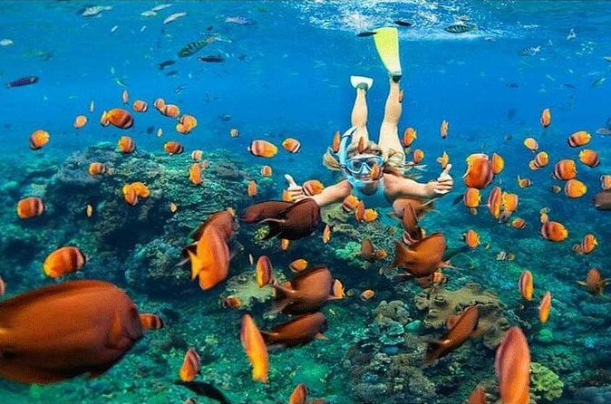 Nusa Penida Trip with Snorkeling all-Inclusive - Lunch and the value of staying on schedule