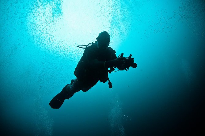 Nusa Penida Two Dives Trip for Certified Divers - Key points to know before booking