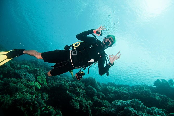 Nusa Penida Two Dives Trip for Certified Divers - Meeting at Pure Dive Resort in Ped at 8:00 a.m.