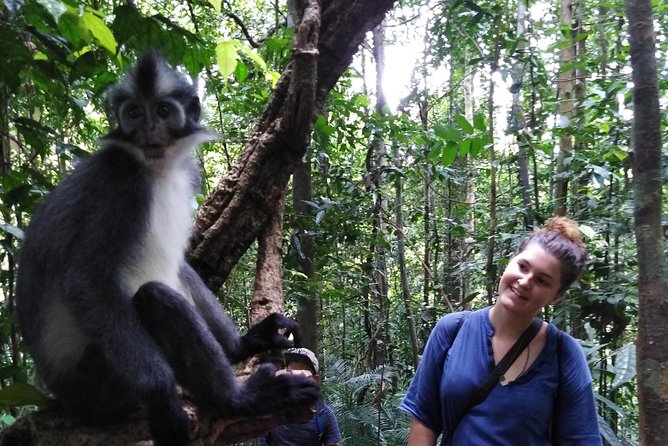 ONE DAY JUNGLE TREKKING 6-7 hours (see orang utan) + RAFTING in BUKIT LAWANG - The guide makes the biggest difference