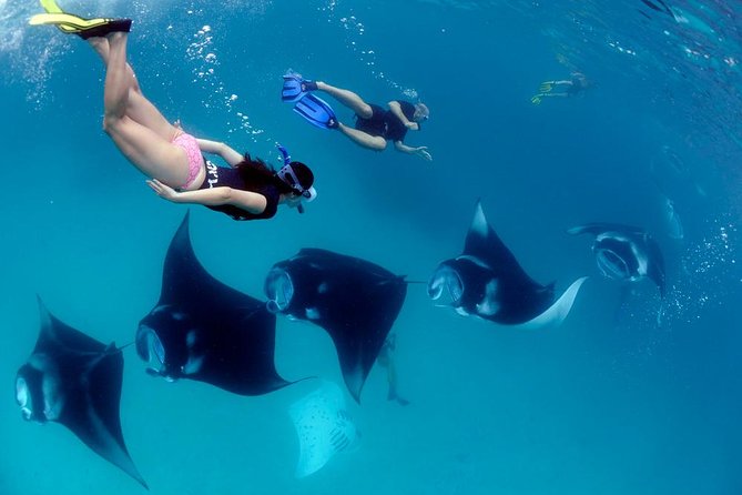 One Day Snorkeling Trip & West Tour Nusa Penida by Penidago - Key details before you book