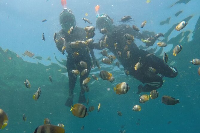 One Day Snorkeling Trip & West Tour Nusa Penida by Penidago - Lunch and the shift from sea to road