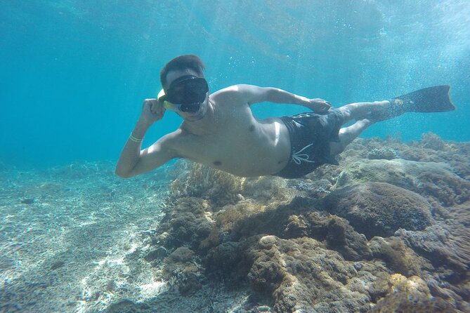 One Day Snorkeling Trip & West Tour Nusa Penida by Penidago - Kelingking Beach and the famous cliff view