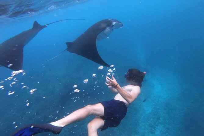 One Day Snorkeling Trip & West Tour Nusa Penida by Penidago - Returning to Sanur without losing your patience