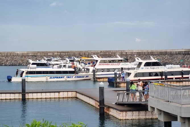 One-way Ticket Fast Boat from Sanur Bali or Nusa Penida - Arriving at Banjar Nyuh Harbor