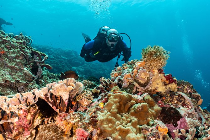 Open Water Course in Pemuteran - Get Certified in Bali - What to confirm before you pay