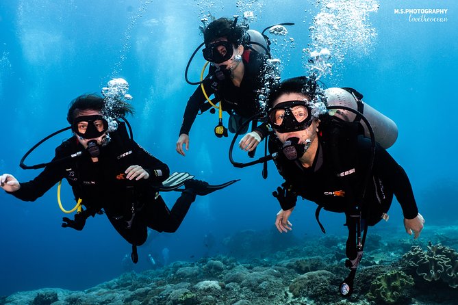 Open Water Course in Tulamben - Get Certified in Bali - Day Two: Four Ocean Sessions in Tulamben