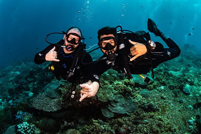 Open Water Course in Tulamben - Get Certified in Bali - The Instructor and Private Course Format