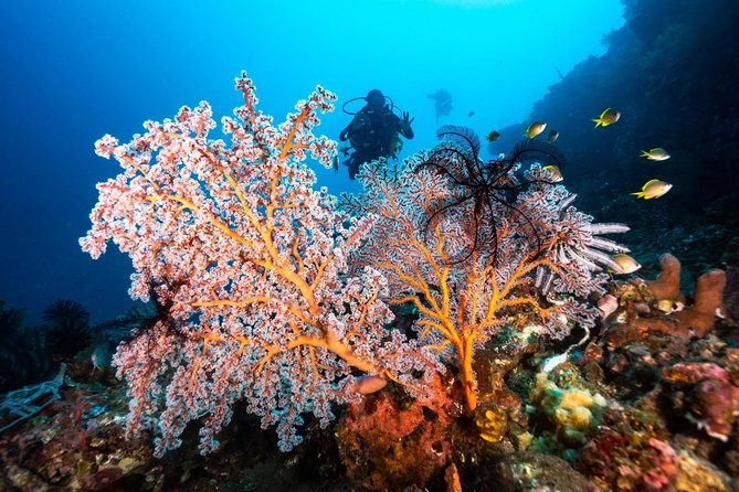 Open Water Course in Tulamben - Get Certified in Bali - Facilities That Make the Course Easier