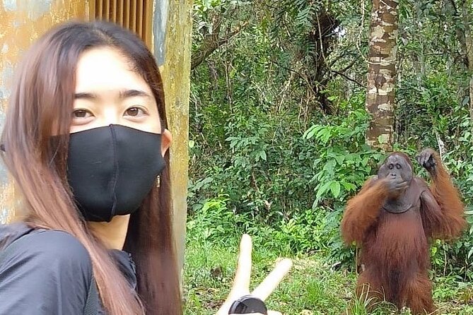 Orangutan Tour Tanjung Puting 2Nights - Key points about this Borneo orangutan tour