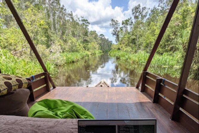 Orangutan Tour Tanjung Puting 2Nights - The included services and their real value