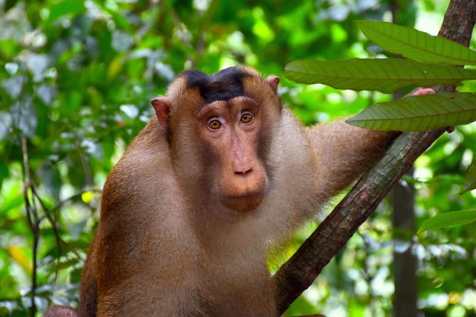 ORANGUTAN TREK (2D/1N) by EcoTravel Bukit Lawang - The river camp around 3:00 pm