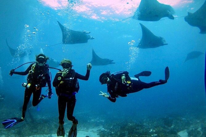 PADI Open water Course in Lembongan - Get certified & dive anywhere in the world - Key points to know before booking