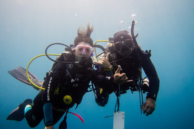 PADI Open water Course in Lembongan - Get certified & dive anywhere in the world - What you are actually signing up for
