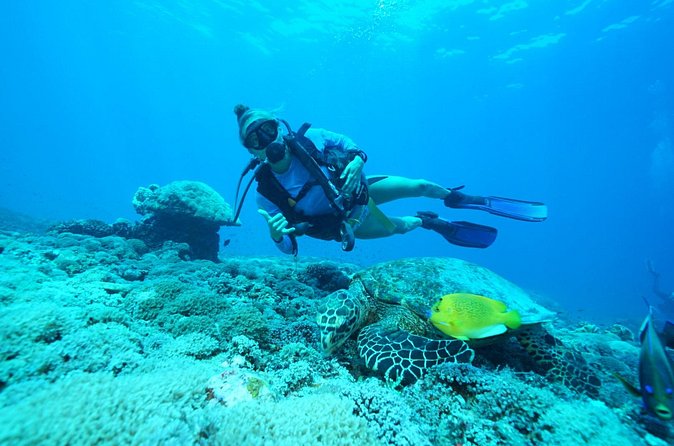 PADI Open water Course in Lembongan - Get certified & dive anywhere in the world - Why the small group makes a difference