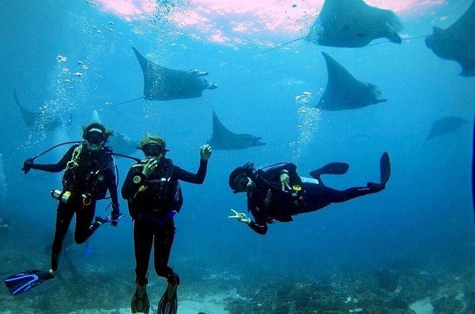 PADI Open water Course in Lembongan - Get certified & dive anywhere in the world - Meeting point and practical planning