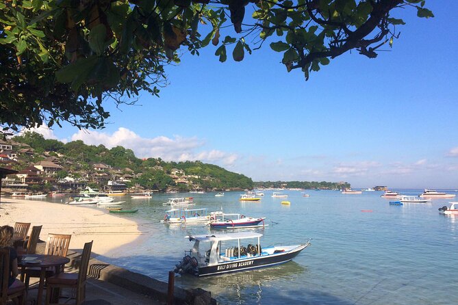 PADI Open water Course in Lembongan - Get certified & dive anywhere in the world - Day one: online theory and controlled-water practice