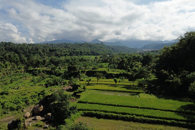 Panorama Walking Tour and Culture, West Lombok - Beekeeping and the practical value of palm sugar
