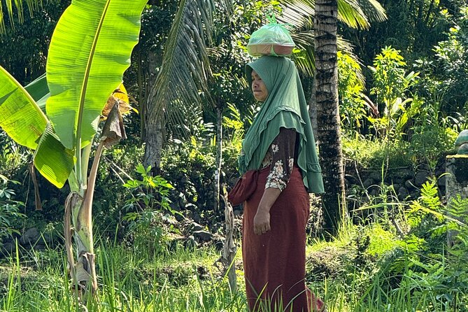 Panorama Walking Tour and Culture, West Lombok - Entering the tropical forest on foot