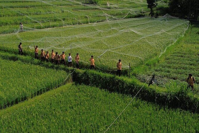 Panorama Walking Tour and Culture, West Lombok - Local products, batik, and village life