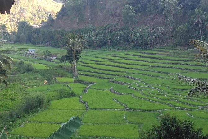Pauls Flores Tour Labuan Bajo to Ende Flores Land Tour inland by Car 6 Days - Day 5: Blue Stone Beach and Ende’s markets