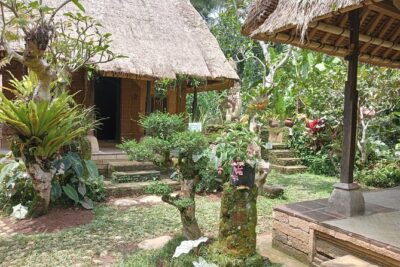 Penglipuran Village Waterfall Swing Private Guided Tour
