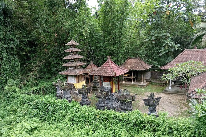 Penglipuran Village Waterfall Swing Private Guided Tour - Transport, guide service, and the private format