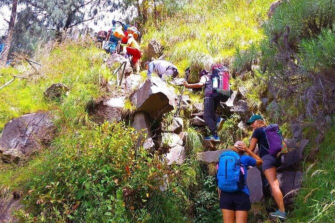 Popular Rinjani Trekking Tour Service To Summit For 2 Days Via Sembalun Trail - The summit attempt and return to Sembalun