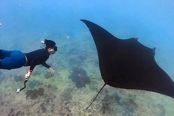 Private All Inclusive Nusa Penida Snorkeling and Tour - Why this private Nusa Penida day works