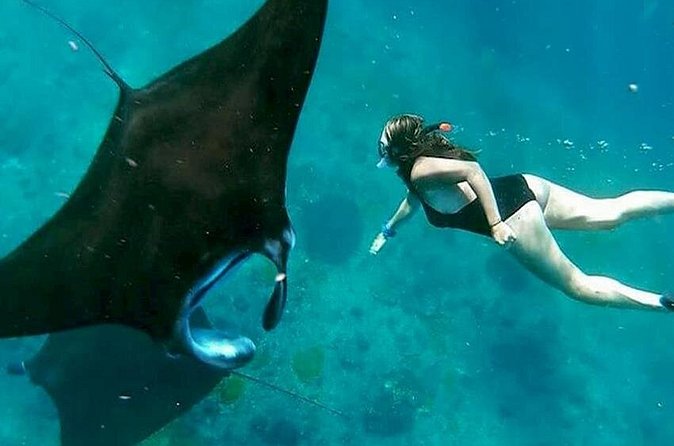Private All Inclusive Nusa Penida Snorkeling and Tour - Crystal Bay, Angel’s Billabong, and the itinerary detail to check