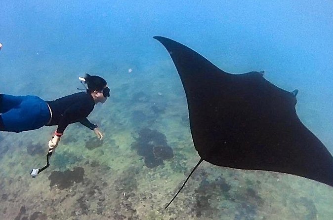 Private All Inclusive Nusa Penida Snorkeling and Tour - Kelingking Beach and the T-Rex view