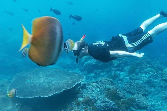 Private All Inclusive Nusa Penida Snorkeling and Tour - Who should book this Nusa Penida tour